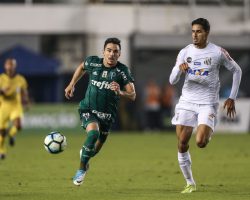 Nhận định bóng đá 188bet Palmeiras vs Vasco da Gama, 03h00 ngày 28/07