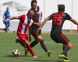 Nhận định bóng đá 188bet Penafiel vs Braga, 02h15 ngày 8/10