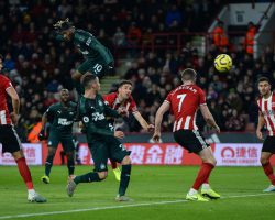 Newcastle United vs Sheffield United