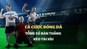 cách soi kèo tài