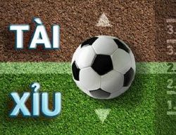 tỷ lệ kèo tài xỉu 2 trái