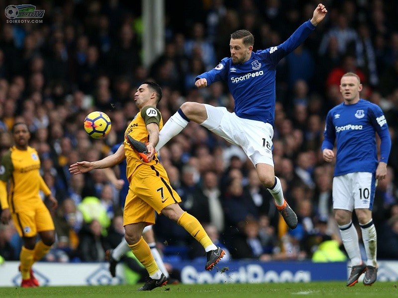Everton vs Brighton