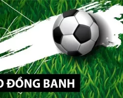 Cách đặt cược kèo đồng banh