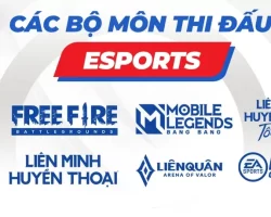 8 bộ môn và 10 nội dung thi đấu eSport tại SEA Games 31