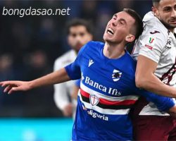 Soi kèo Bologna vs Sampdoria, Serie A