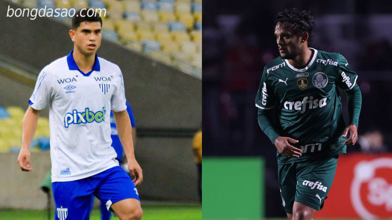 Soi kèo xiên ngày 27/6, Avai vs Palmeiras, Serie A