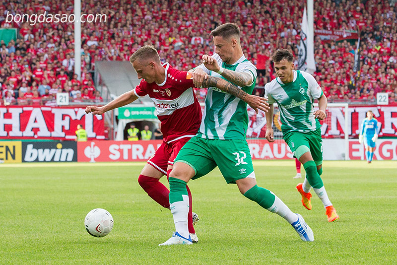 Soi kèo Energie Cottbus vs Werder Bremen, 23h ngày 1/8