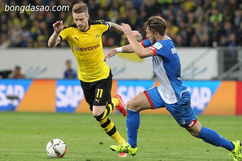 Soi kèo Dortmund vs Hoffenheim, 01h30 ngày 03/09/2022