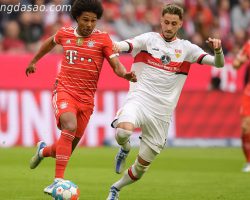 Soi kèo xiên ngày 10/9 Bayern Munich vs Stuttgart, Bundesliga