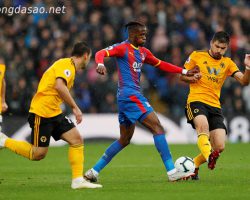 Soi kèo xiên ngày 19/10 Crystal Palace vs Wolves, Ngoại hạng Anh
