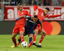 Soi kèo Viktoria Plzen vs Bayern Munich, Cup C1