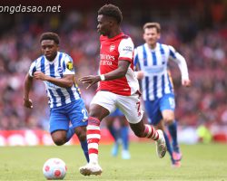 Soi kèo xiên ngày 01/01 Brighton vs Arsenal, Ngoại hạng Anh
