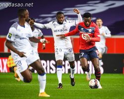 Soi kèo xiên ngày 02/01 Lille vs Reims, Ligue 1