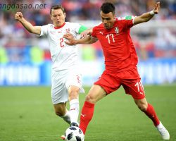 Soi kèo xiên ngày 03/12 Serbia vs Thụy Sĩ, World Cup 2022