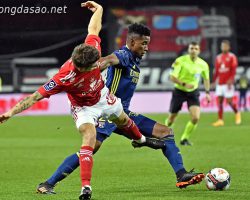 Soi kèo xiên ngày 29/12 Brest vs Lyon, Ligue 1