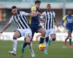 Soi kèo xiên ngày 31/01 Udinese vs Hellas Verona, Serie A