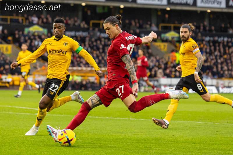 Soi kèo Liverpool vs Wolverhampton, 03h00 ngày 02/03