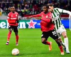 Nhận định soi kèo xiên 14/04: Leverkusen vs St Gilloise, Europa League