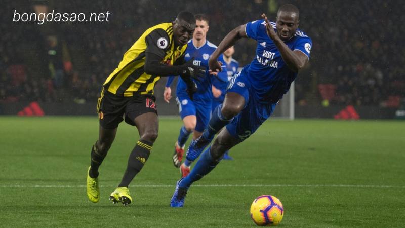 Nhận định Watford vs Cardiff City, 01h45 ngày 20/04