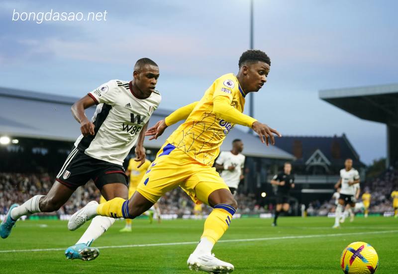 Nhận định soi kèo Everton vs Fulham, 21h00 ngày 15/04