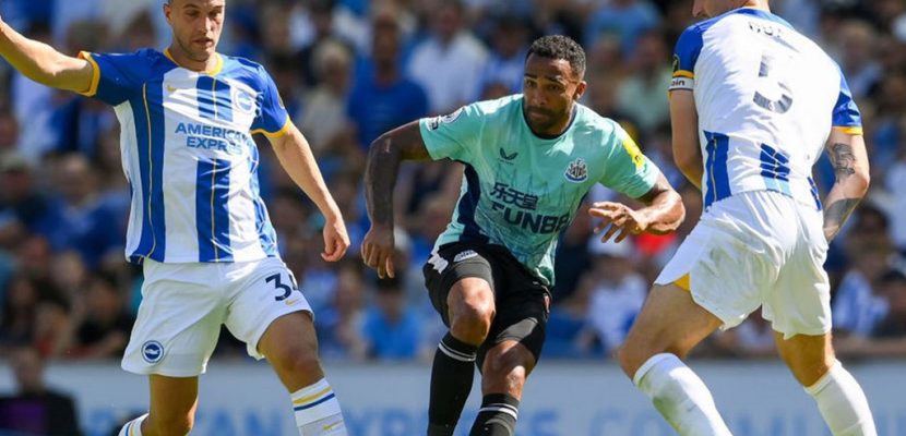 Soi kèo Newcastle vs Brighton, 01h30 ngày 19/05, EPL