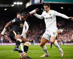 Nhận định kèo xiên 13/05 Leeds United vs Newcastle, EPL