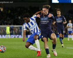 Nhận định kèo xiên 25/05 Brighton vs Man City, EPL