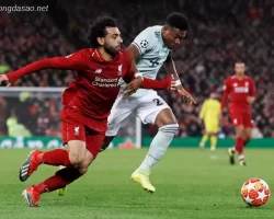 Giao hữu hè 2023 LFC Liverpool vs FC Bayern Munich