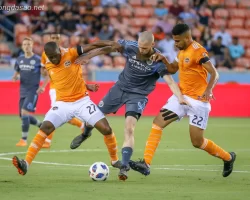 Soi kèo xiên ngày 15/06: Los Angeles FC vs Houston Dynamo, MLS