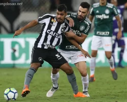 Nhận định kèo xiên 26/06 Palmeiras vs Botafogo, VĐQG Brazil