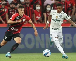 Nhận định kèo xiên 03/07 Paranaense vs Palmeiras, VĐQG Brazil