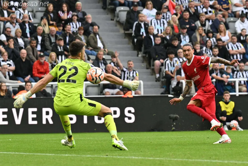 Nunez tỏa sáng giúp LFC Liverpool ngược dòng trước chủ nhà Newcastle Kết quả bóng đá 27/08: LFC Liverpool ngược dòng ấn tượng trước Newcastle