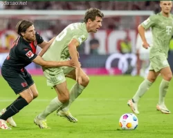Kết quả bóng đá 16/09: FC Bayern Munich bị cầm chân