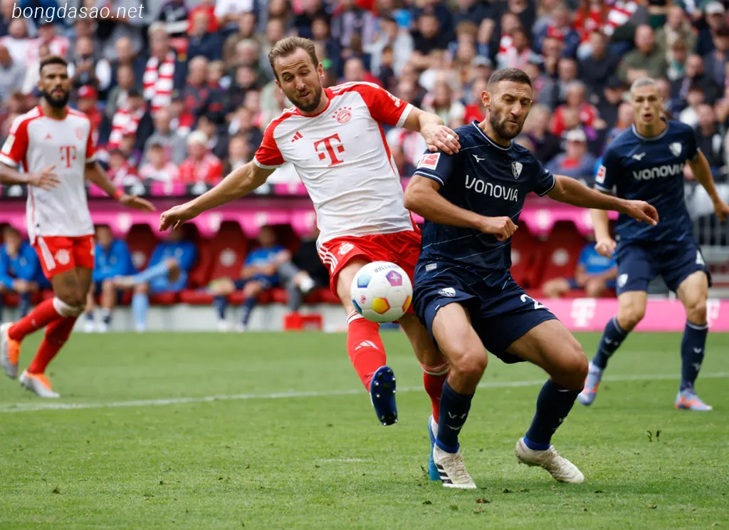 Cập nhật kết quả bóng đá tối 23/09: FC Bayern Munich đại thắng