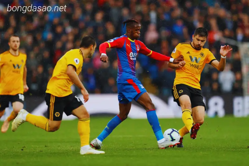 Soi kèo Crystal Palace vs Wolverhampton, 20h00 ngày 03/09