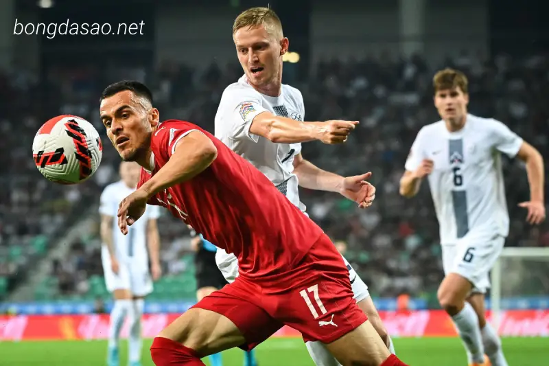 Soi kèo Serbia vs Hungary, 01h45 ngày 08/09, Euro 2024