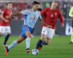 Kết quả bóng đá 16/10: Na Uy và Croatia gây thất vọng