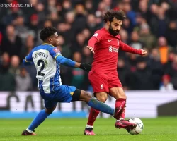 Soi kèo xiên 08/10 Brighton vs LFC Liverpool, Ngoại hạng Anh