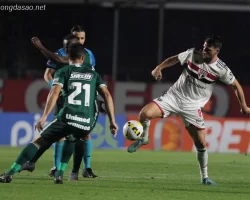 Soi kèo xiên 19/10 Goias vs Sao Paulo, VĐQG Brazil