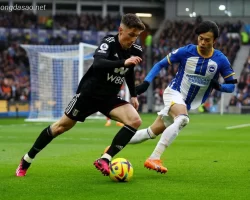 Soi kèo xiên 29/10 Brighton vs Fulham, Ngoại hạng Anh