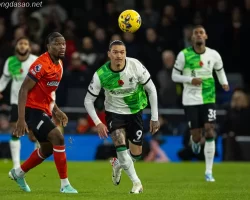 Kết quả bóng đá ngày 05/11: LFC Liverpool hụt bước