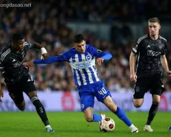 Soi kèo xiên ngày 10/11 Ajax Amsterdam vs Brighton, Europa League