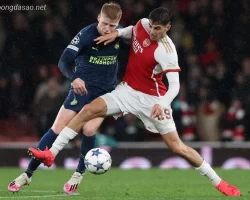 Nhận định kèo xiên 13/12 PSV vs Arsenal, Champions League