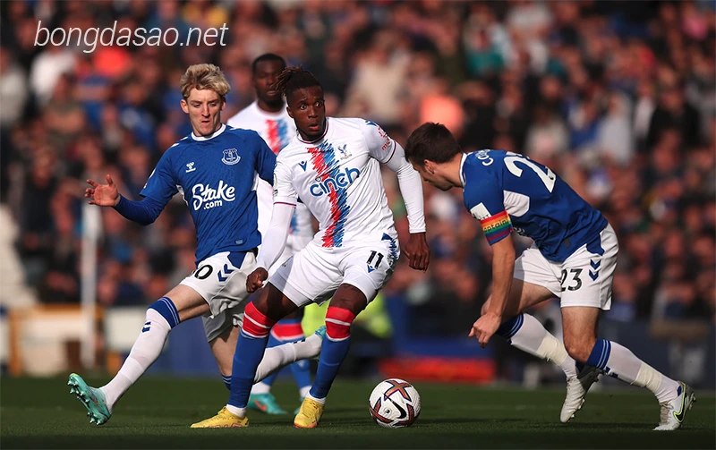 Nhận định soi kèo Crystal Palace vs Everton, 03h00 ngày 05:01
