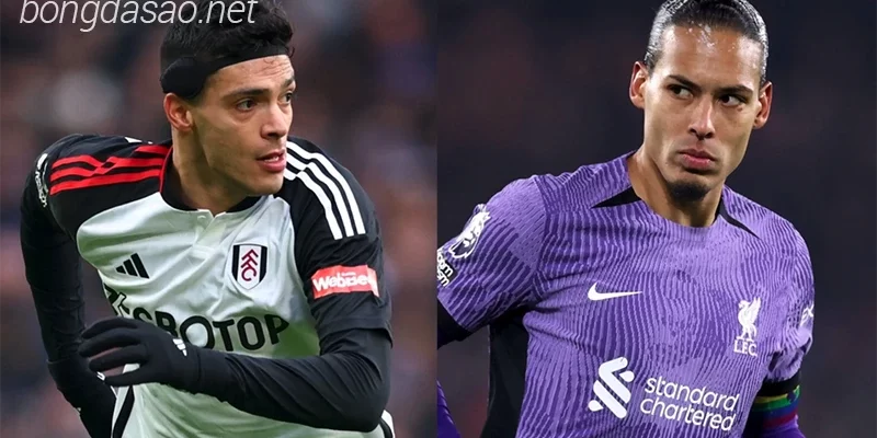 Nhận định soi kèo Fulham vs Liverpool, 03h00 ngày 25:01-1