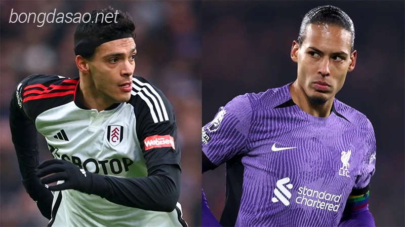 Nhận định soi kèo Fulham vs Liverpool, 03h00 ngày 25:01-1