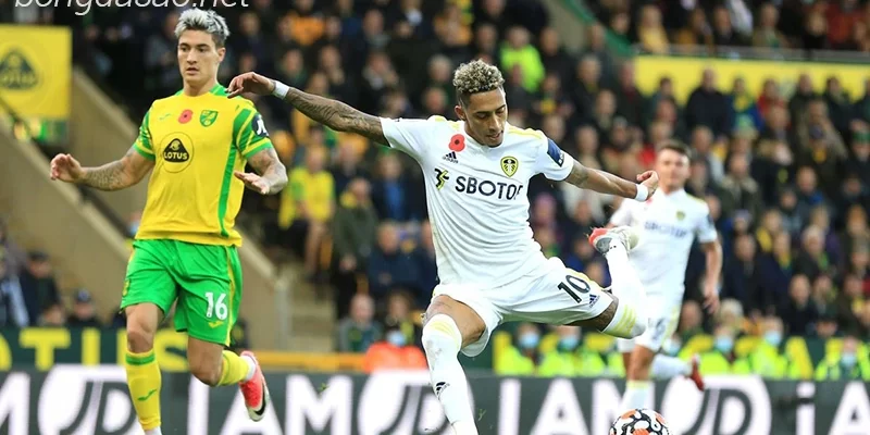 Nhận định soi kèo Leeds vs Norwich, 02h45 ngày 25:01-1