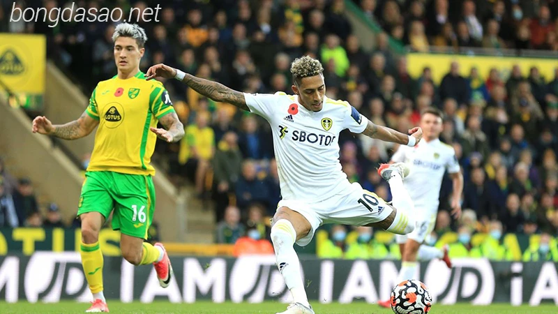 Nhận định soi kèo Leeds vs Norwich, 02h45 ngày 25:01-1