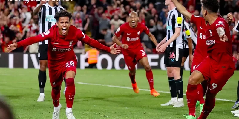 Nhận định soi kèo Liverpool vs Newcastle