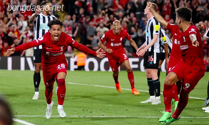 Nhận định soi kèo Liverpool vs Newcastle